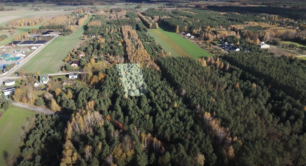 Działka budowlana na sprzedaż Wodzierady  2 617m2 Foto 1