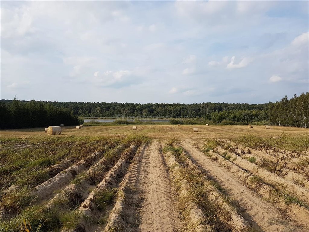 Działka rolna na sprzedaż Wielka Wieś, Stęszew  9 421m2 Foto 1