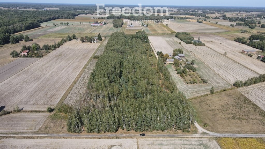 Działka inna na sprzedaż Musiejówka  8 100m2 Foto 2