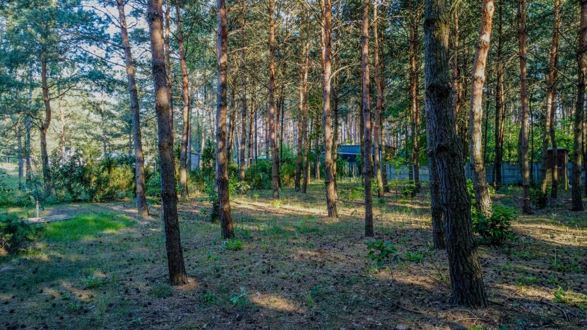 Działka budowlana na sprzedaż Kamieńczyk, Makowa  1 209m2 Foto 4