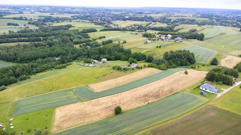 Działka budowlana na sprzedaż Niechobrz  18 300m2 Foto 17