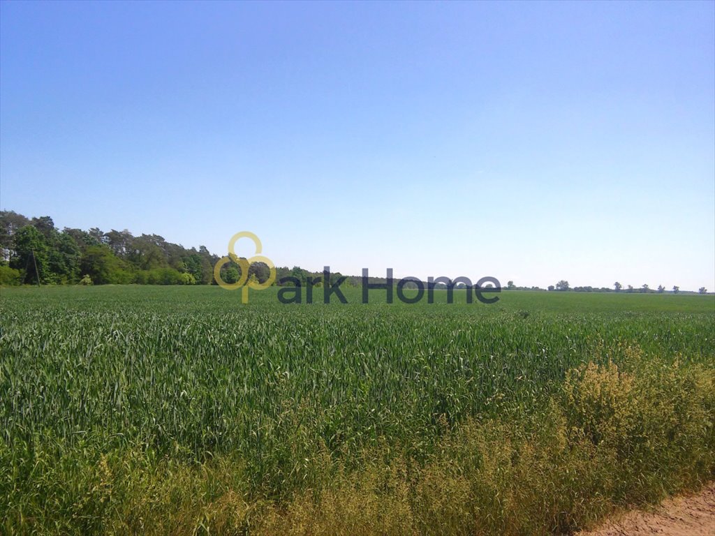 Działka budowlana na sprzedaż Słopanowo, Słopanowo-Huby  4 010m2 Foto 2