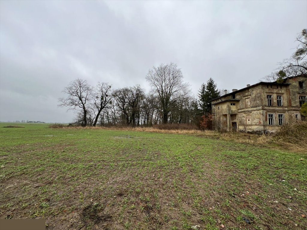 Działka z pałacem i parkiem, 3 ha, możliwość powiększenia Świecie  30 000m2 Foto 1