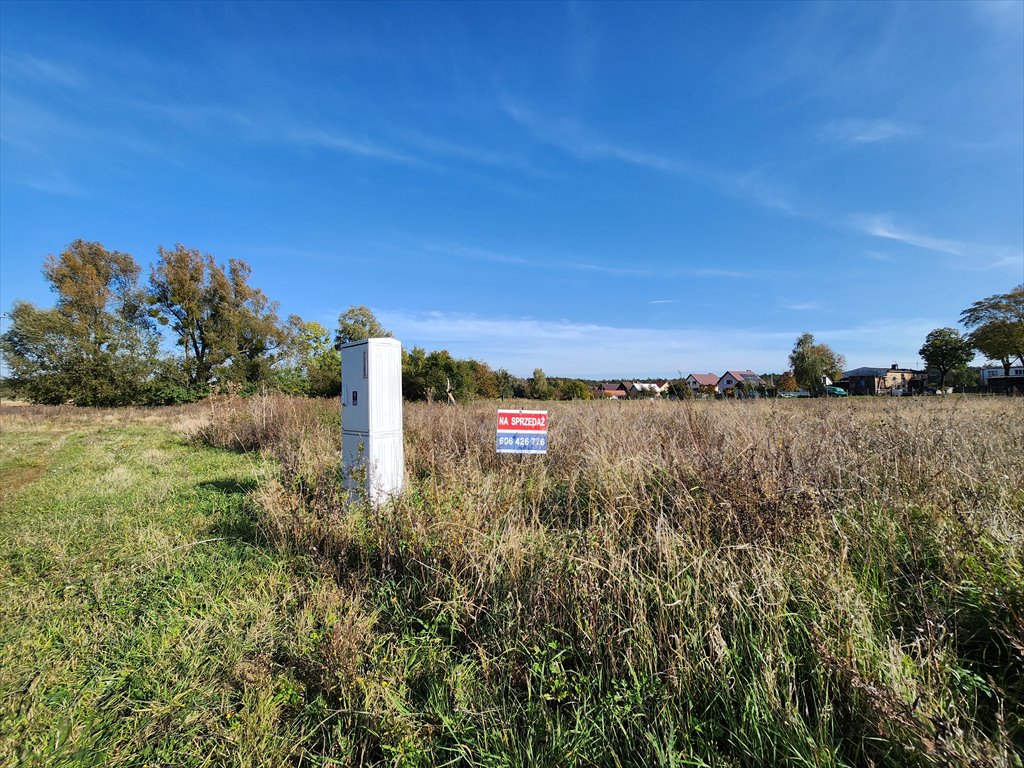 Działka budowlana na sprzedaż Chludowo, Maniewska  1 046m2 Foto 7