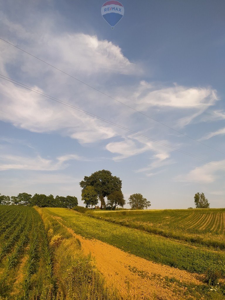 Działka siedliskowa na sprzedaż Stręgoborzyce  3 200m2 Foto 7