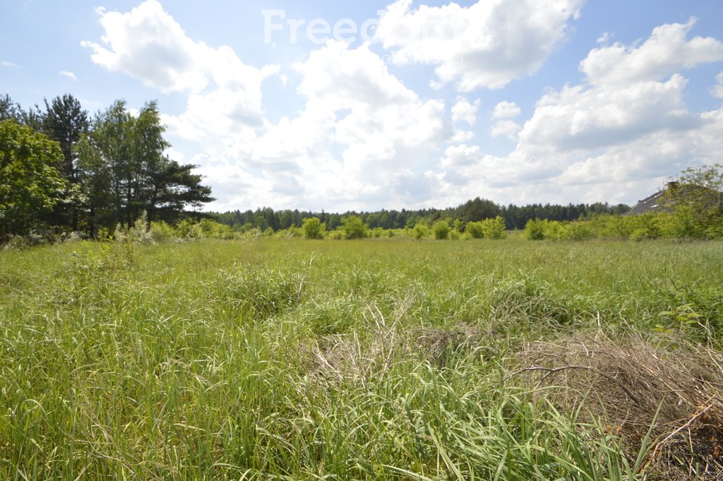 Działka inna na sprzedaż Wierzchy  27 700m2 Foto 1