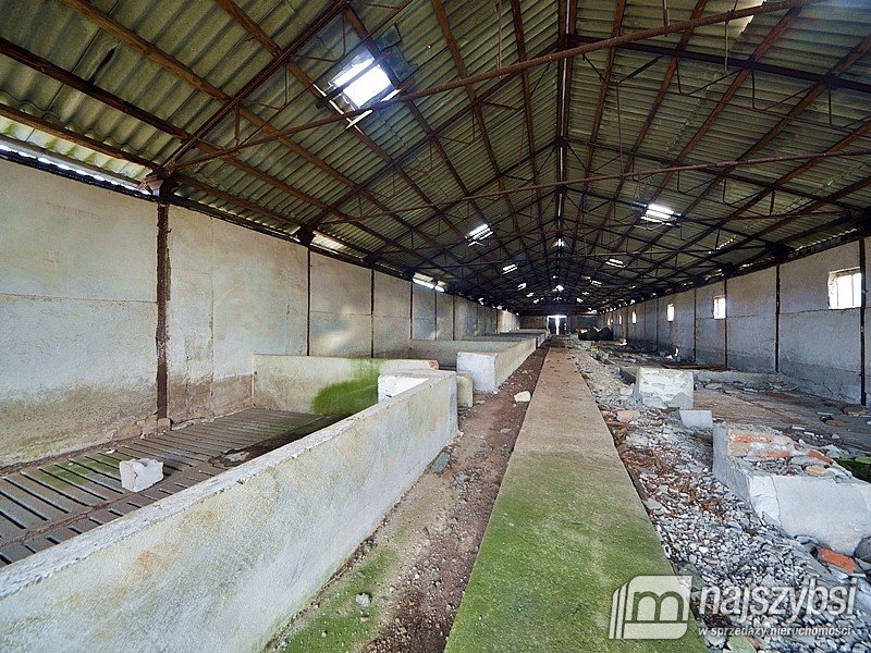 Lokal użytkowy na sprzedaż Choszczno  555 000m2 Foto 16