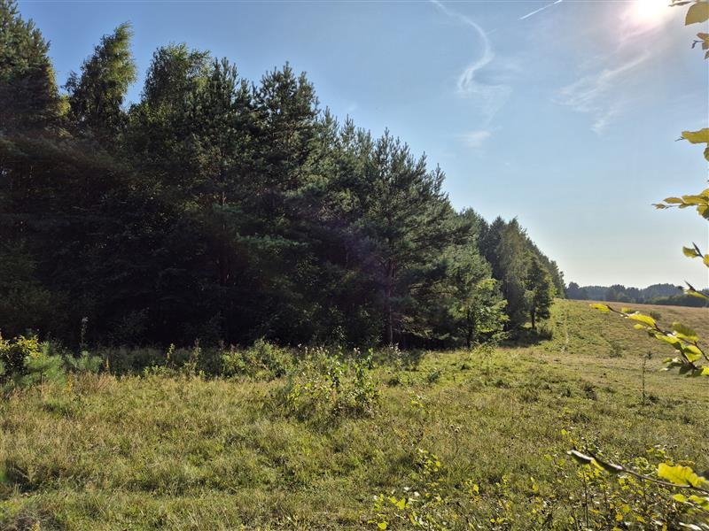 Działka budowlana na sprzedaż Sopieszyno, Leśna  44 000m2 Foto 7