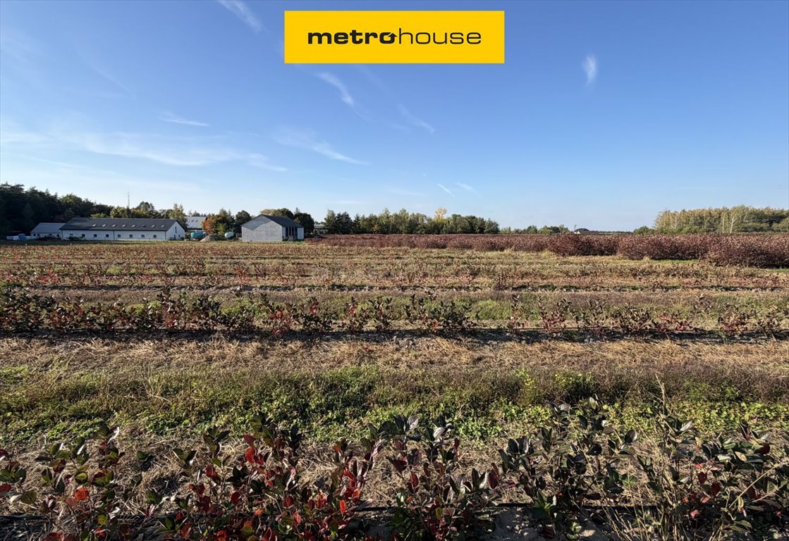Sprzedam działkę 1166 m² w Dmosinie Drugi z dostępem do mediów Dmosin Drugi  1 166m2 Foto 1