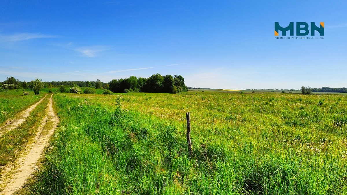 Działka rolna na sprzedaż Węgorzewo, Rudziszki  21 800m2 Foto 2