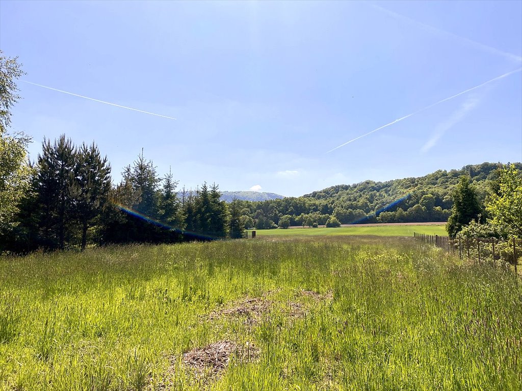 Działka budowlana na sprzedaż Cisownica, Cisownica, Jana Ożany  750m2 Foto 4