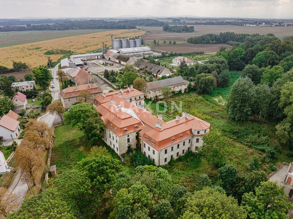 Dom na sprzedaż Małuszów  4 100m2 Foto 17