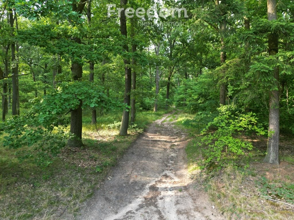 Działka inna na sprzedaż Dolsk  15 000m2 Foto 8