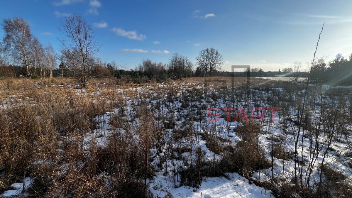 Działka przemysłowo-handlowa na sprzedaż Stary Karolinów  21 500m2 Foto 11