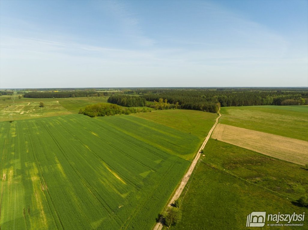 Działka rolna pod dzierżawę Przybiernów  15 202m2 Foto 1