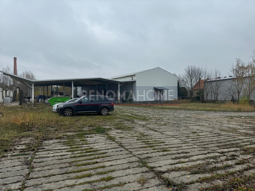 Lokal użytkowy na sprzedaż Jaśkowice Legnickie  1 400m2 Foto 6