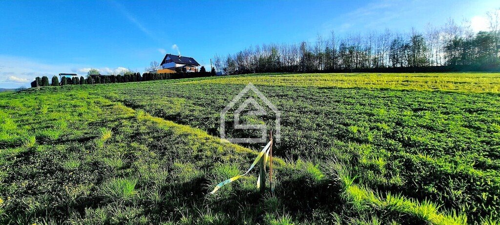 Działka budowlana na sprzedaż Grabie  1 500m2 Foto 8