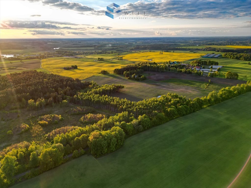 Działka budowlana na sprzedaż Mokiny  1 108m2 Foto 1