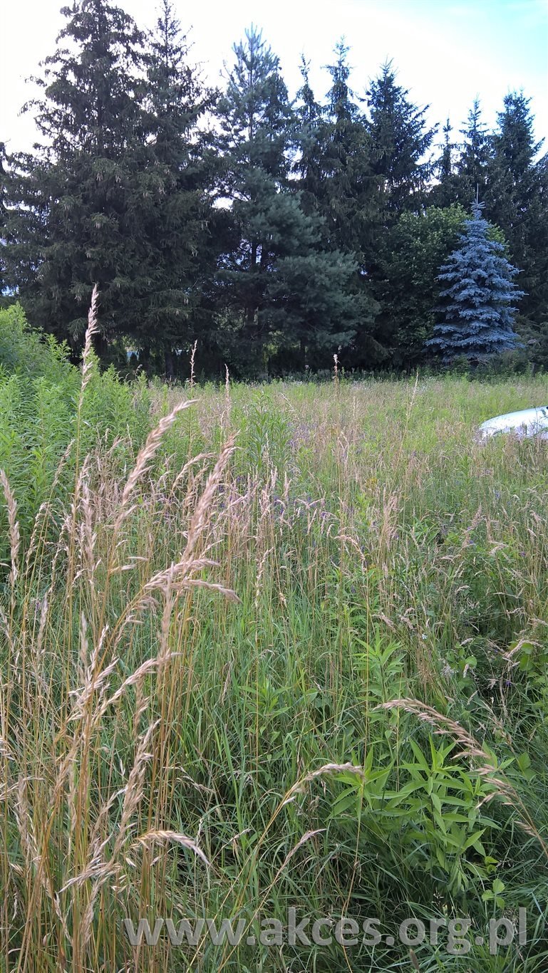 Działka budowlana 1916 m² (z planem zabudowy) w Zaborowie Zaborów  1 916m2 Foto 1