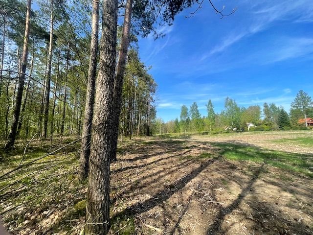 Działka budowlana na sprzedaż Sulęczyno  1 600m2 Foto 1