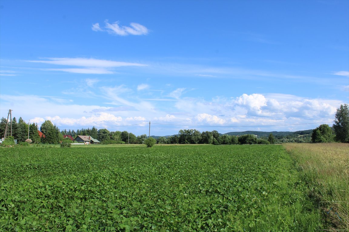 Działka budowlana na sprzedaż Winiary  1 100m2 Foto 2