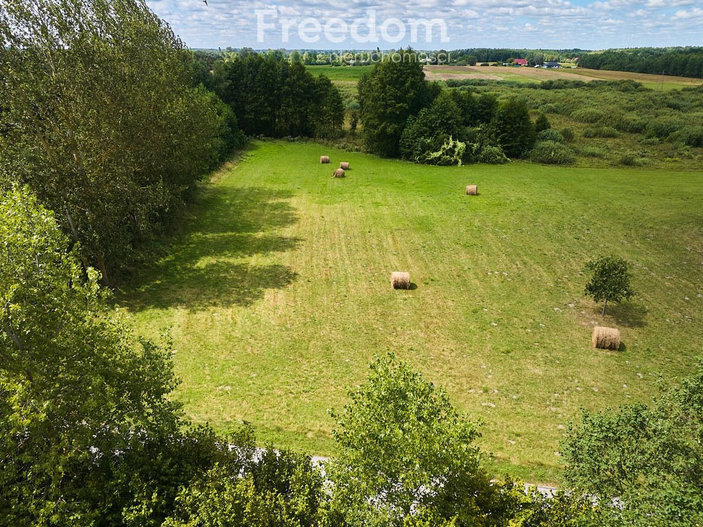 Działka budowlana na sprzedaż Żalin  8 434m2 Foto 3