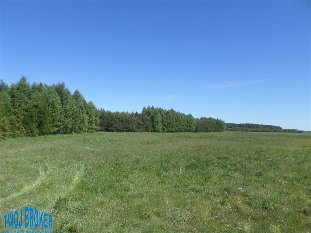 Działka rolna na sprzedaż Strzeczona, Strzeczona  206 000m2 Foto 3