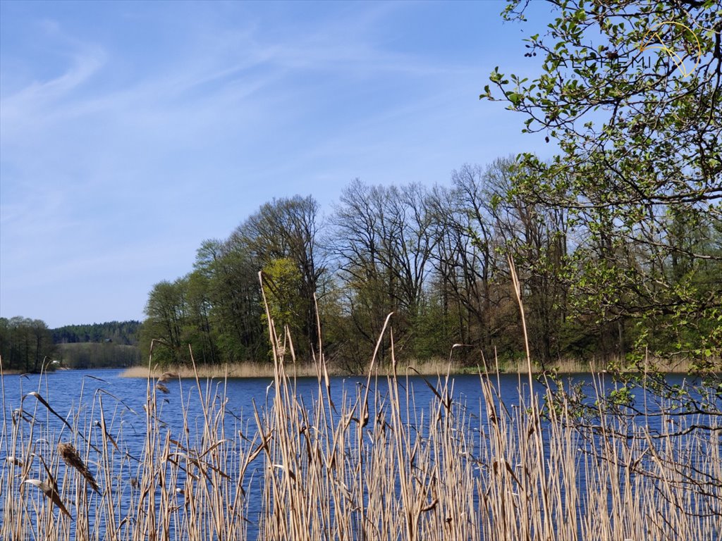 Działka budowlana na sprzedaż Mostkowo  22 916m2 Foto 4