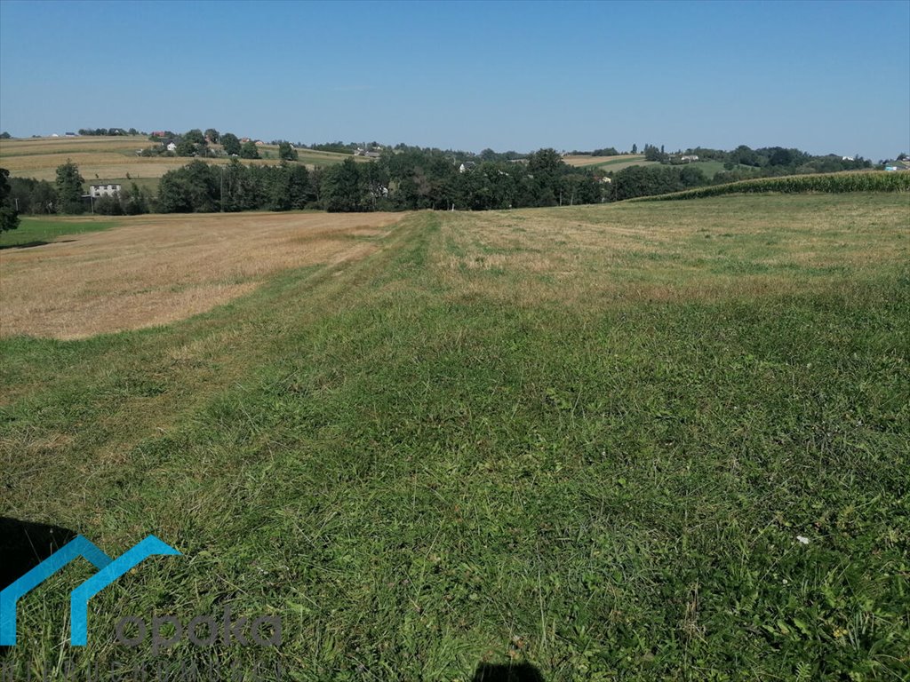 Działka rolna na sprzedaż Łączka, Wierzbowa  20 000m2 Foto 9