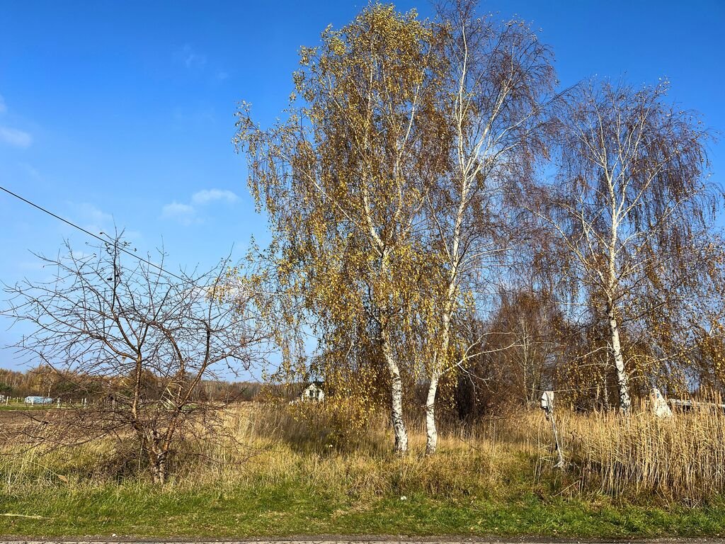 Działka inwestycyjna na sprzedaż Stobierna  2 000m2 Foto 4