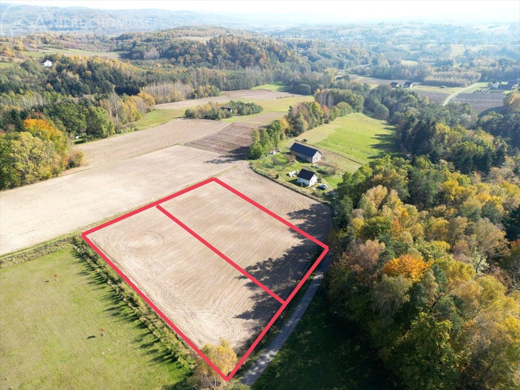 Działka budowlana na sprzedaż Błażkowa  2 200m2 Foto 12