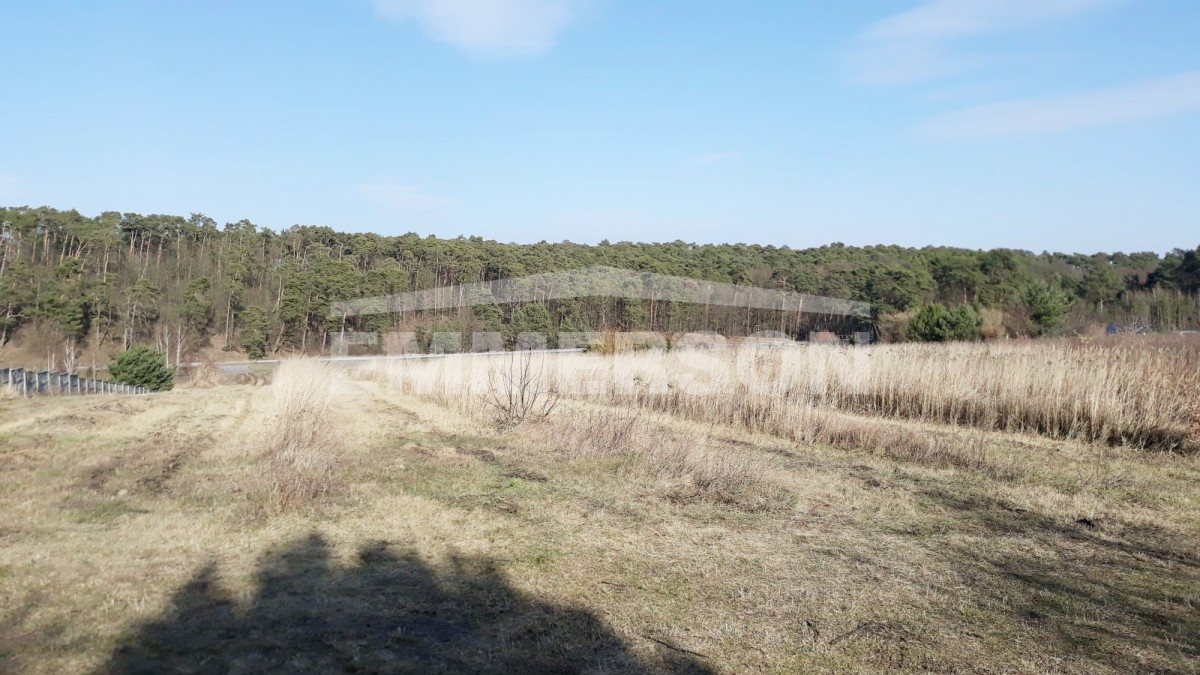 Działka budowlana na sprzedaż Zdwórz 900m2 Foto 1 Działka budowlana na sprzedaż Zdwórz 900m2 Foto 1