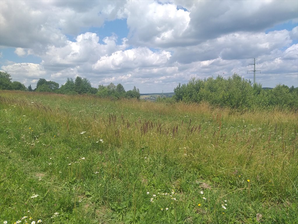 Działka rolna na sprzedaż Makowiska  9 700m2 Foto 11