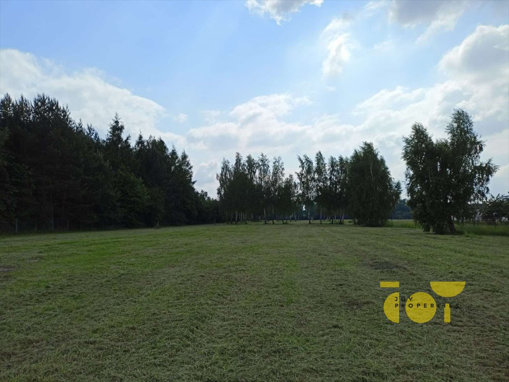 Działka budowlana na sprzedaż Słomczyn, Wilanowska  2 444m2 Foto 11