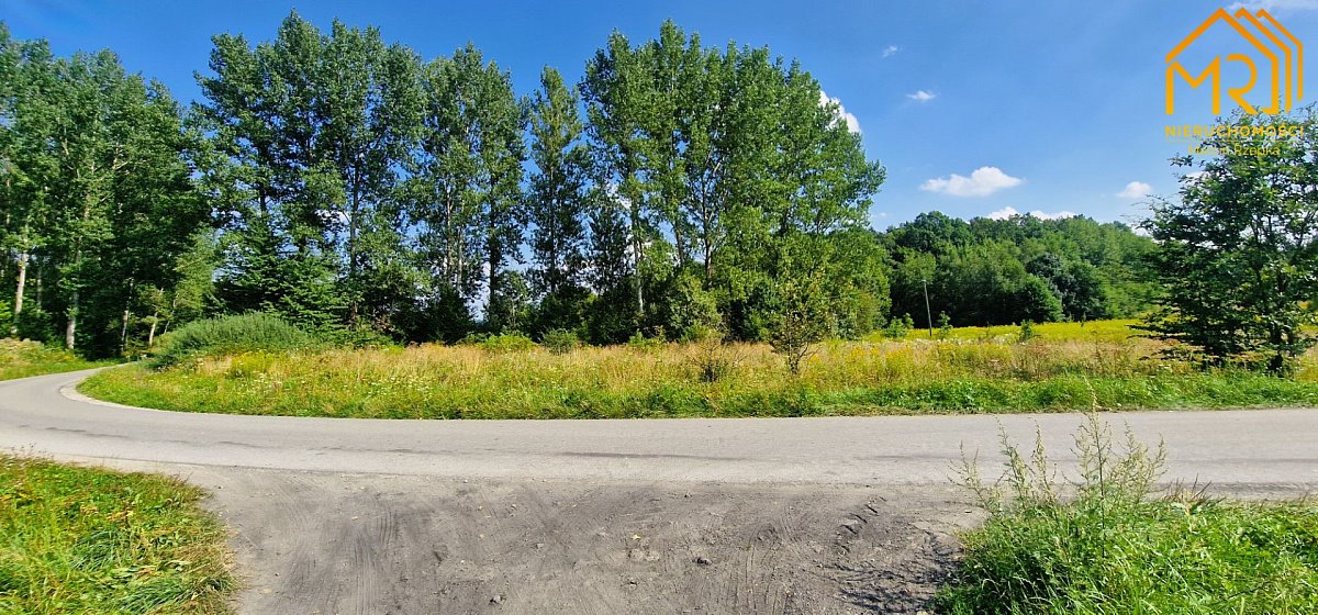 Działka inna na sprzedaż Szerzyny  10 100m2 Foto 12