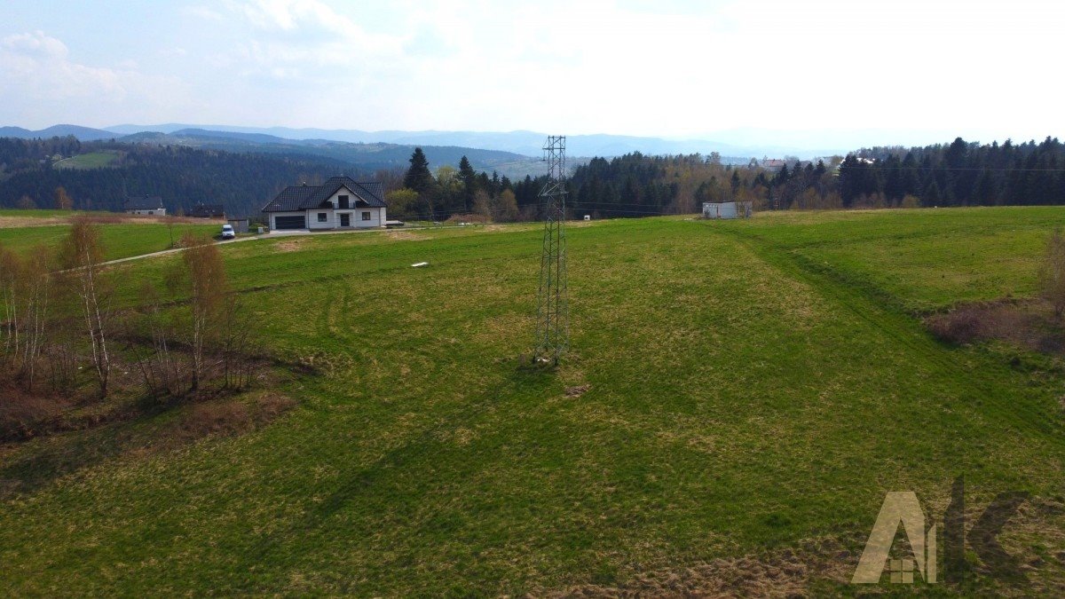 Działka budowlana na sprzedaż Paszyn  6 000m2 Foto 8