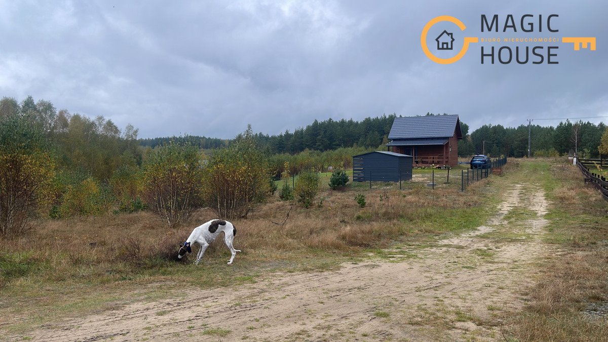 Działka rekreacyjna na sprzedaż Czarne  1 000m2 Foto 4