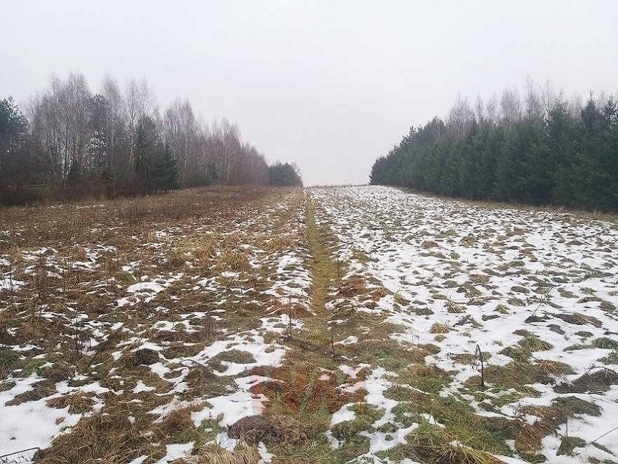 Działka siedliskowa na sprzedaż Mogielnica  33 800m2 Foto 18