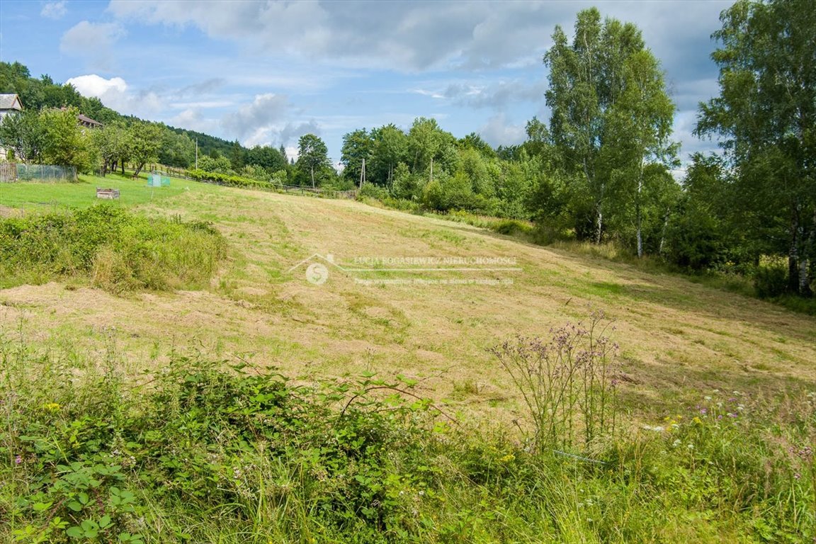 Działka budowlana na sprzedaż Buczkowice  3 784m2 Foto 17