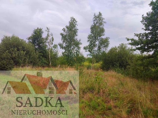 Działka budowlana na sprzedaż Budy Zosine, Generała Skokowskiego  8 765m2 Foto 2