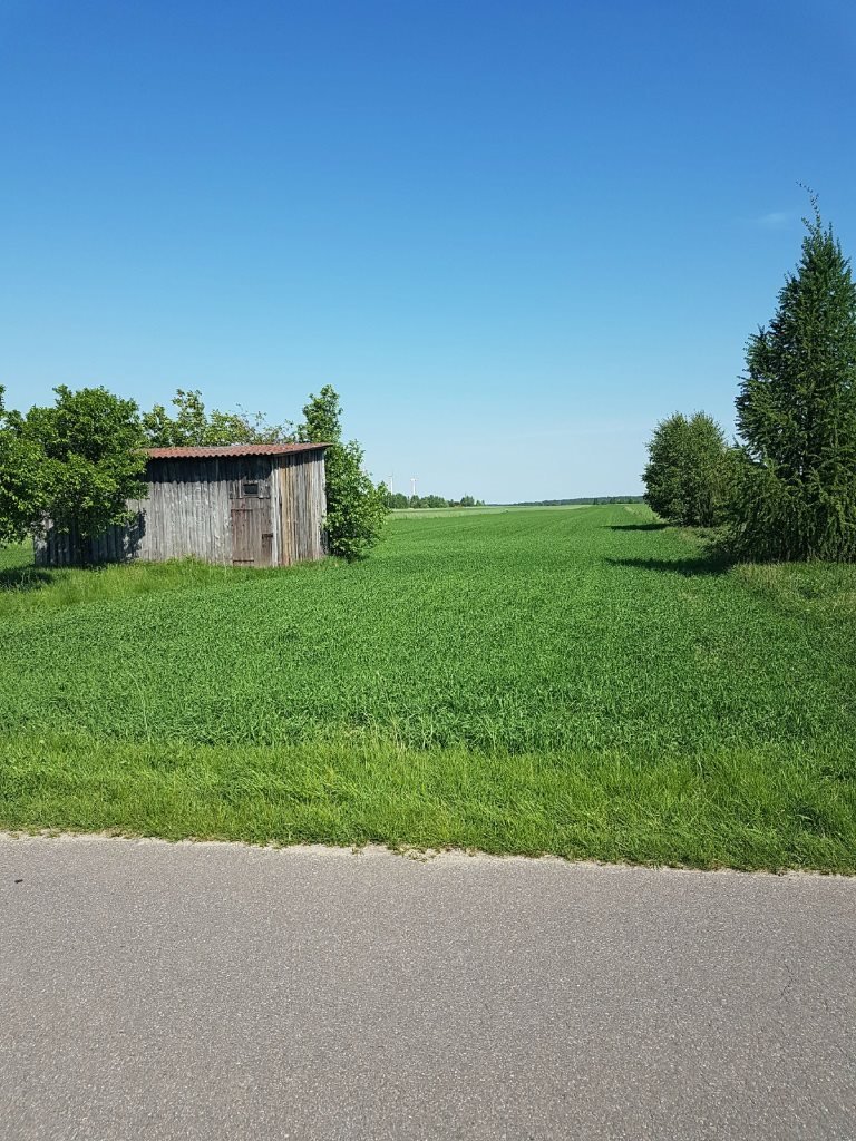 Malownicza działka 7000 m² z mediami i dojazdem asfaltowym Beleń  7 000m2 Foto 1