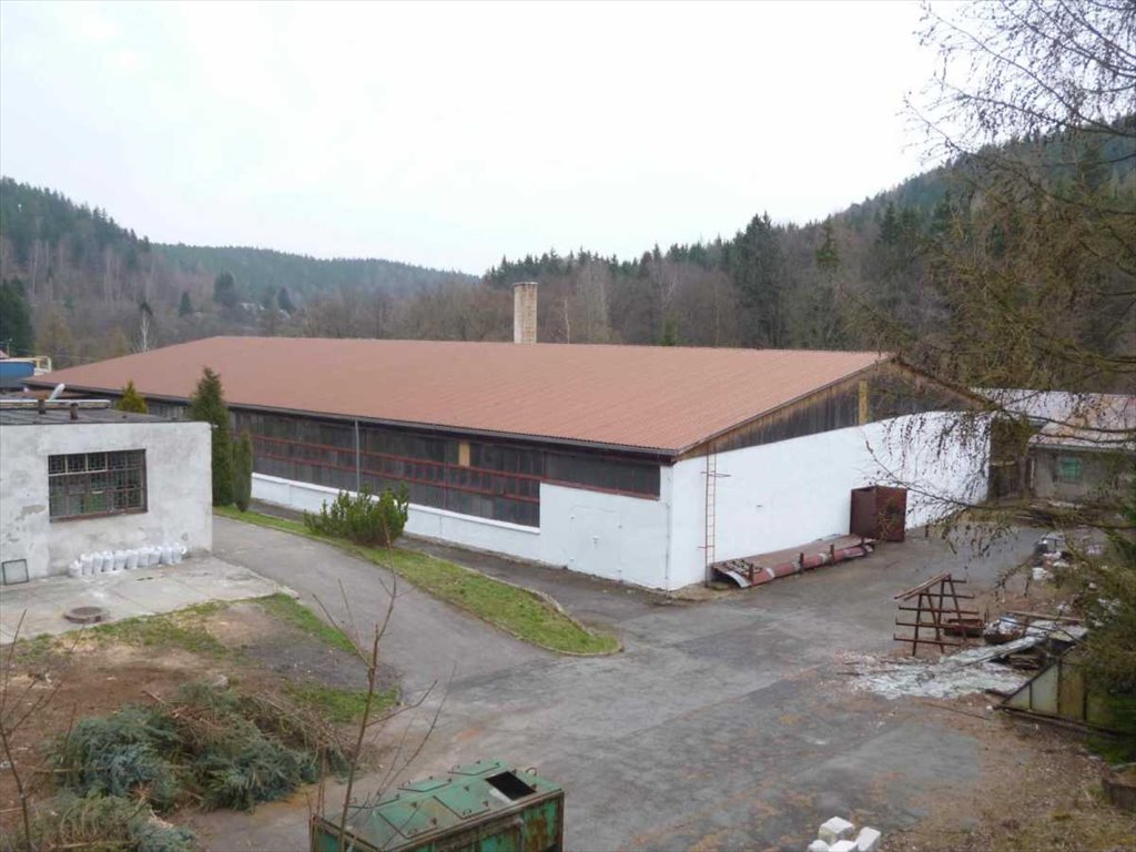 Lokal użytkowy na sprzedaż Szczytna  8 500m2 Foto 4