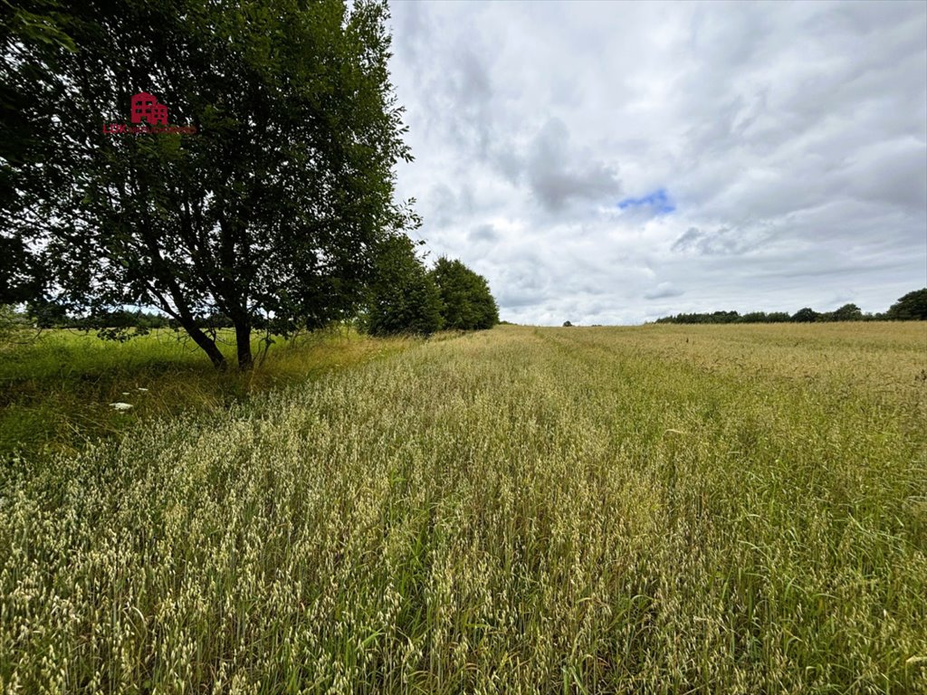 Działka siedliskowa na sprzedaż Mierzeszyn, Gdańska  16 681m2 Foto 1