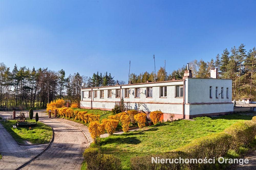 Lokal użytkowy na sprzedaż Strzelce, Strzelce, gm. Dobroszyce  1 953m2 Foto 1