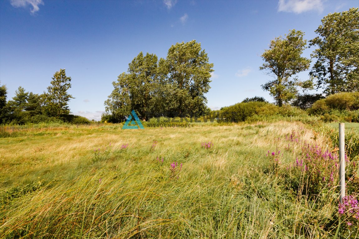 Działka rolna na sprzedaż Karwieńskie Błoto Pierwsze  771m2 Foto 5