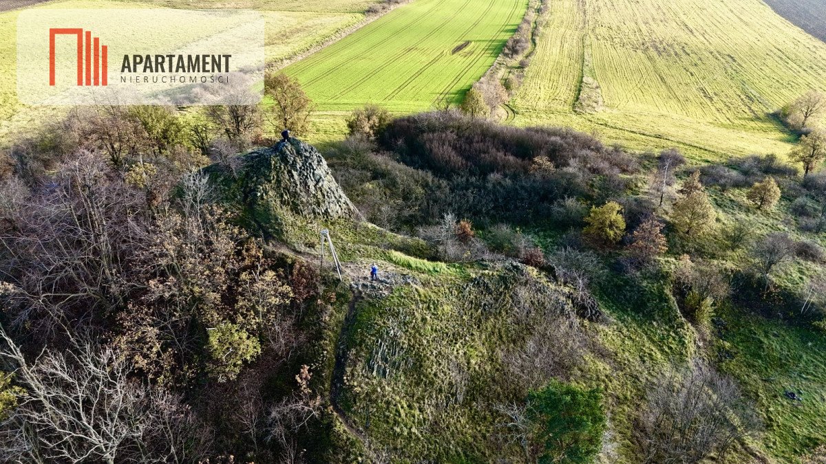 Działka gospodarstwo rolne na sprzedaż Pomocne  40 000m2 Foto 6