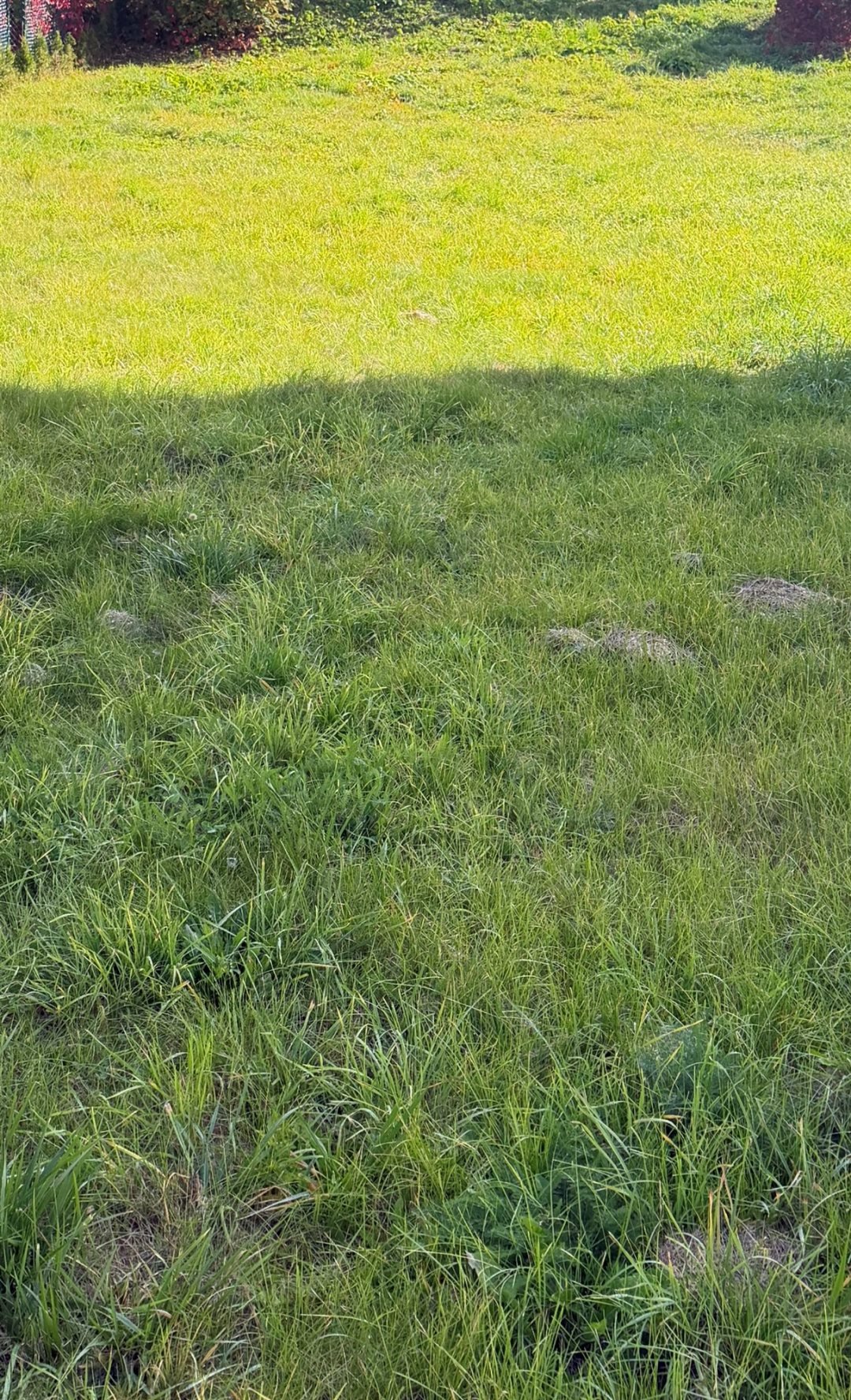 Działka 477 m² w centrum Krynicy-Zdroju (z pozwoleniem na budowę) Krynica-Zdrój  477m2 Foto 1