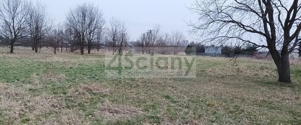 Działka budowlana na sprzedaż Grodzisk Mazowiecki  5 300m2 Foto 1