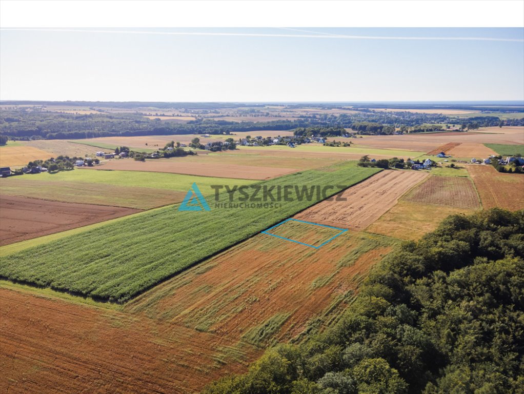 Działka rolna na sprzedaż Lisewo, Leśna  3 090m2 Foto 2