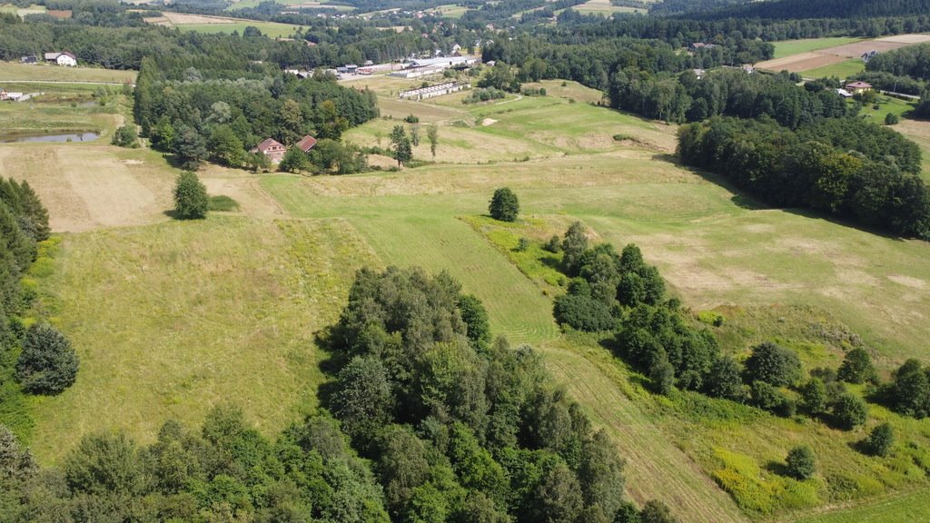 Działka budowlana na sprzedaż Lutcza  107 000m2 Foto 12